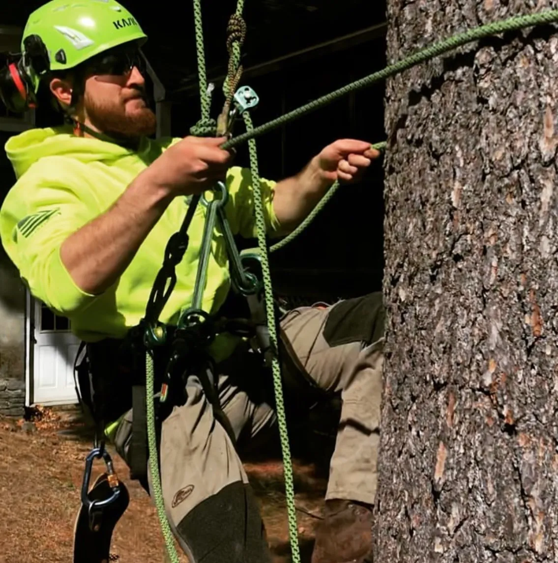 work photo from Google listing