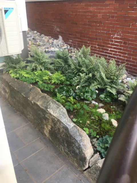 katies moss garden.png