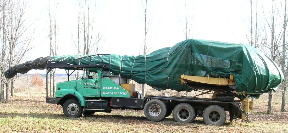 work photo from greenotreemovers.com