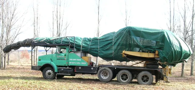 work photo from greenotreemovers.com