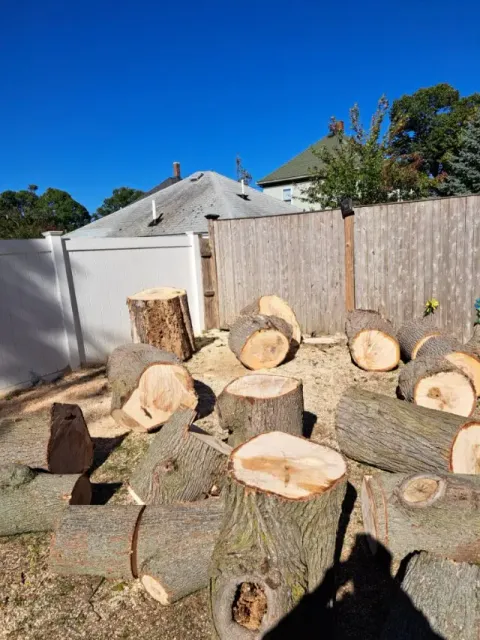 work photo from jhernandezlandscaping.com