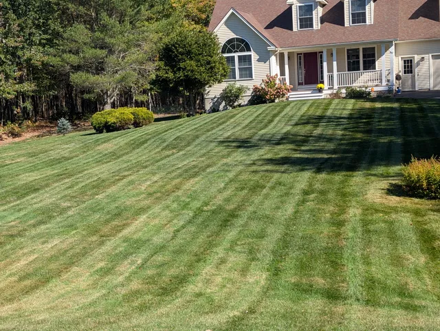 ASAP Lawn Care work photo