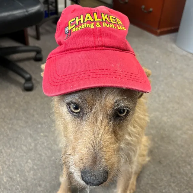 Luckie the office dog wants to  tell you to have a good weekend!