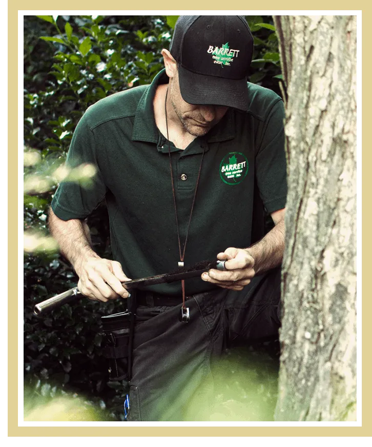 work photo from barretttreeeast.com