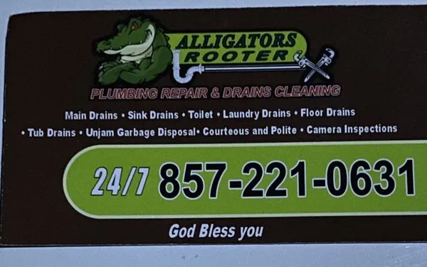 Alligators Rooter researched project photo