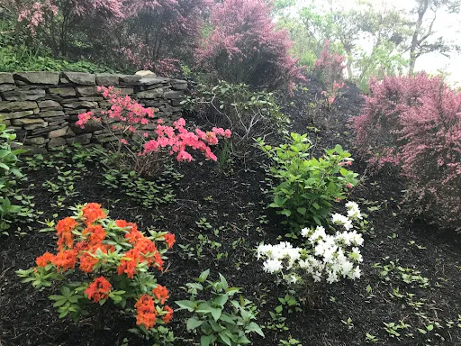 Arran P Landscaping work photo