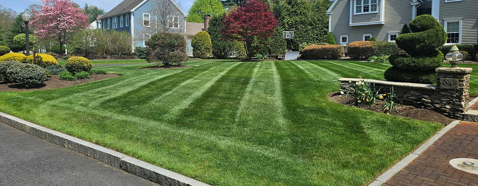 Lawn Services