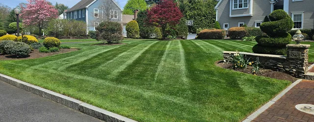 Lawn Services