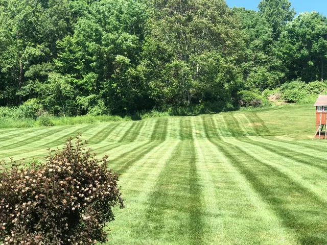 work photo from rainforestlandscape.com