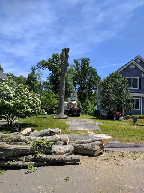 work photo from akandsontree.com