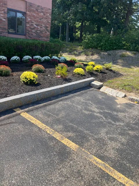 Elwyn Park Property Maintenance work photo
