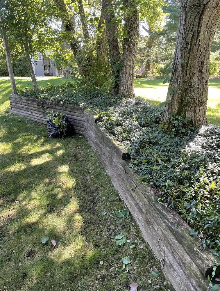 Roberto's Affordable Landscaping researched project photo