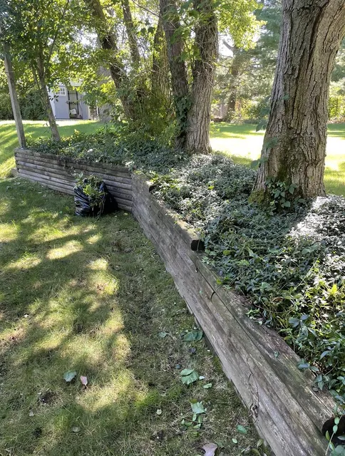 Roberto's Affordable Landscaping researched project photo