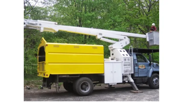 Canadian Tree Expert work photo