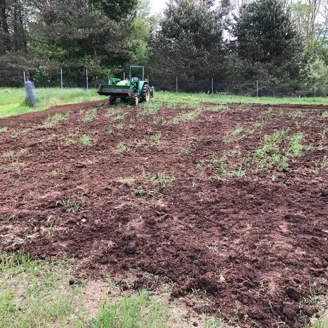 Shaheen Landscaping researched project photo