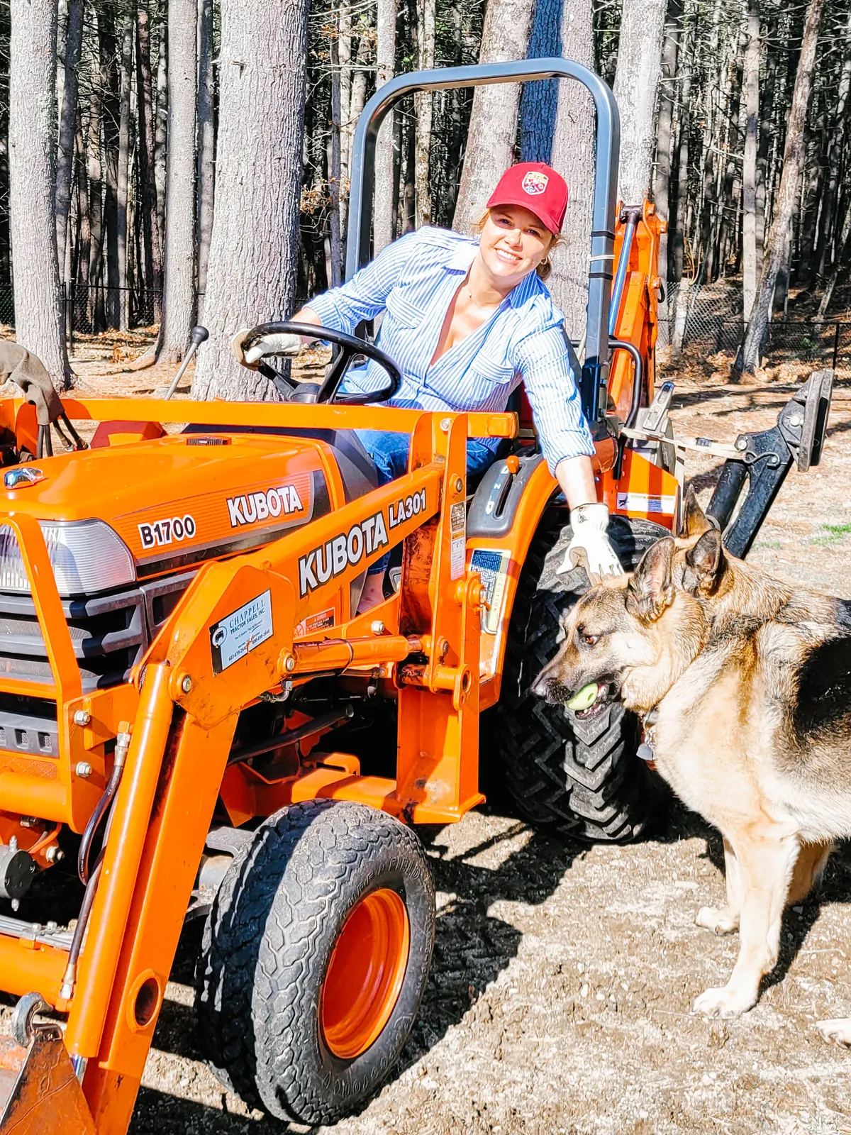 work photo from Google listing