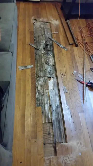 Rotted floor board removed during repair