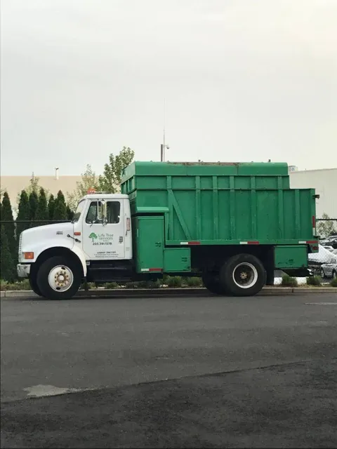 work photo from lifetreeservicesllc.com