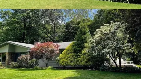 foundation pruning.jpg