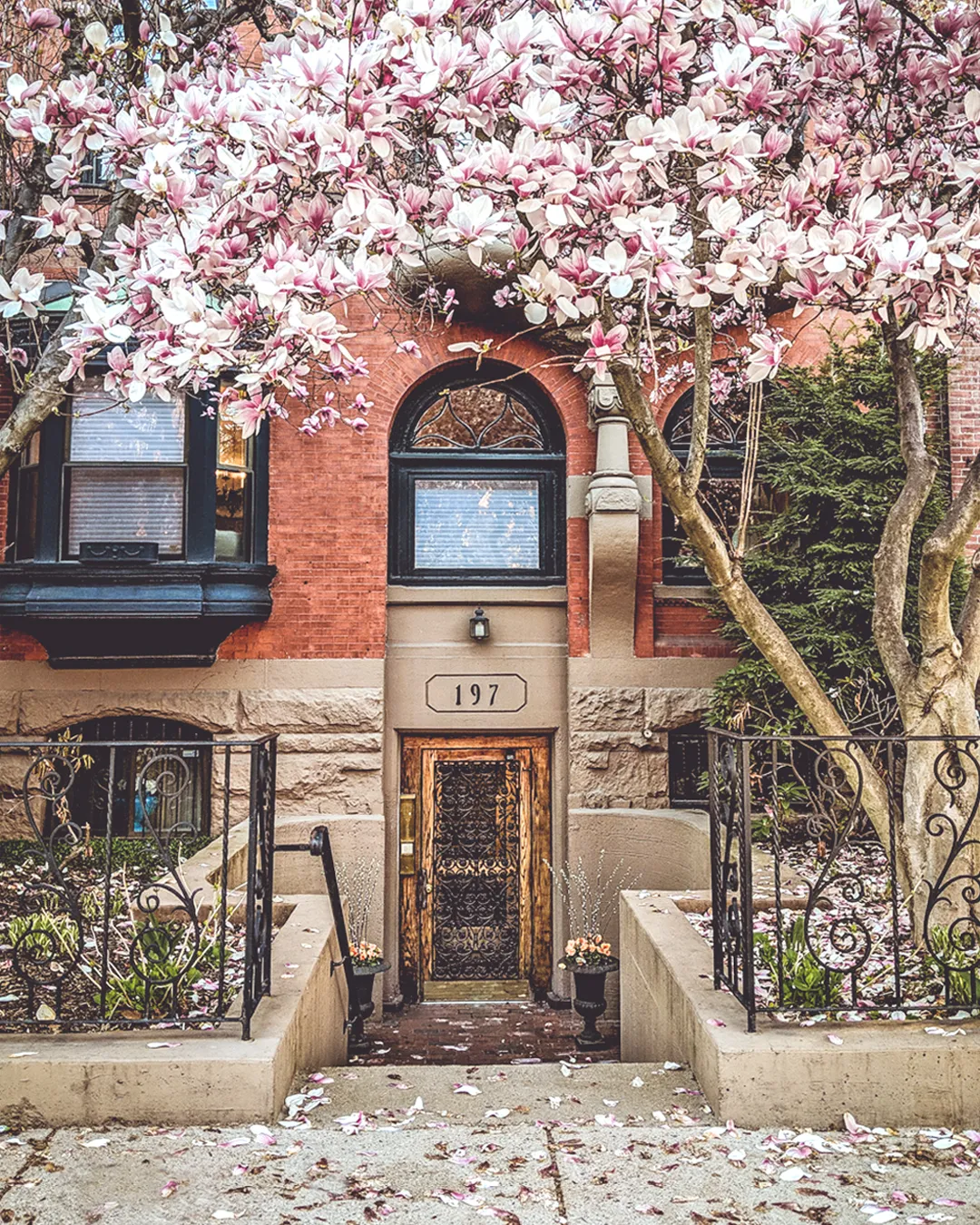 Carlisle Group Boston Real Estate