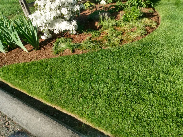 Pride Property Service work photo