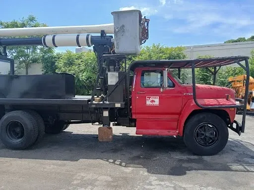 TJ Tree work photo