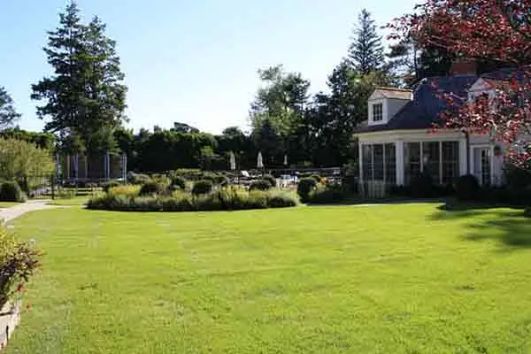 work photo from kuczotreeandlawncare.com