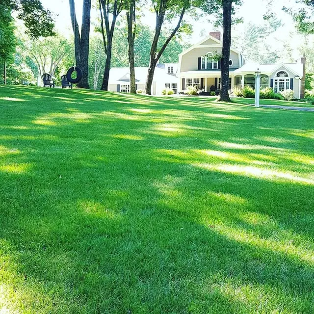 Sea of Green Lawn Care, LLC researched project photo