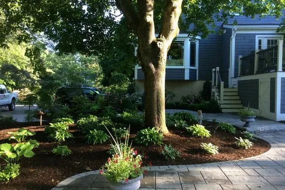 Ahronian Landscape and Design researched project photo