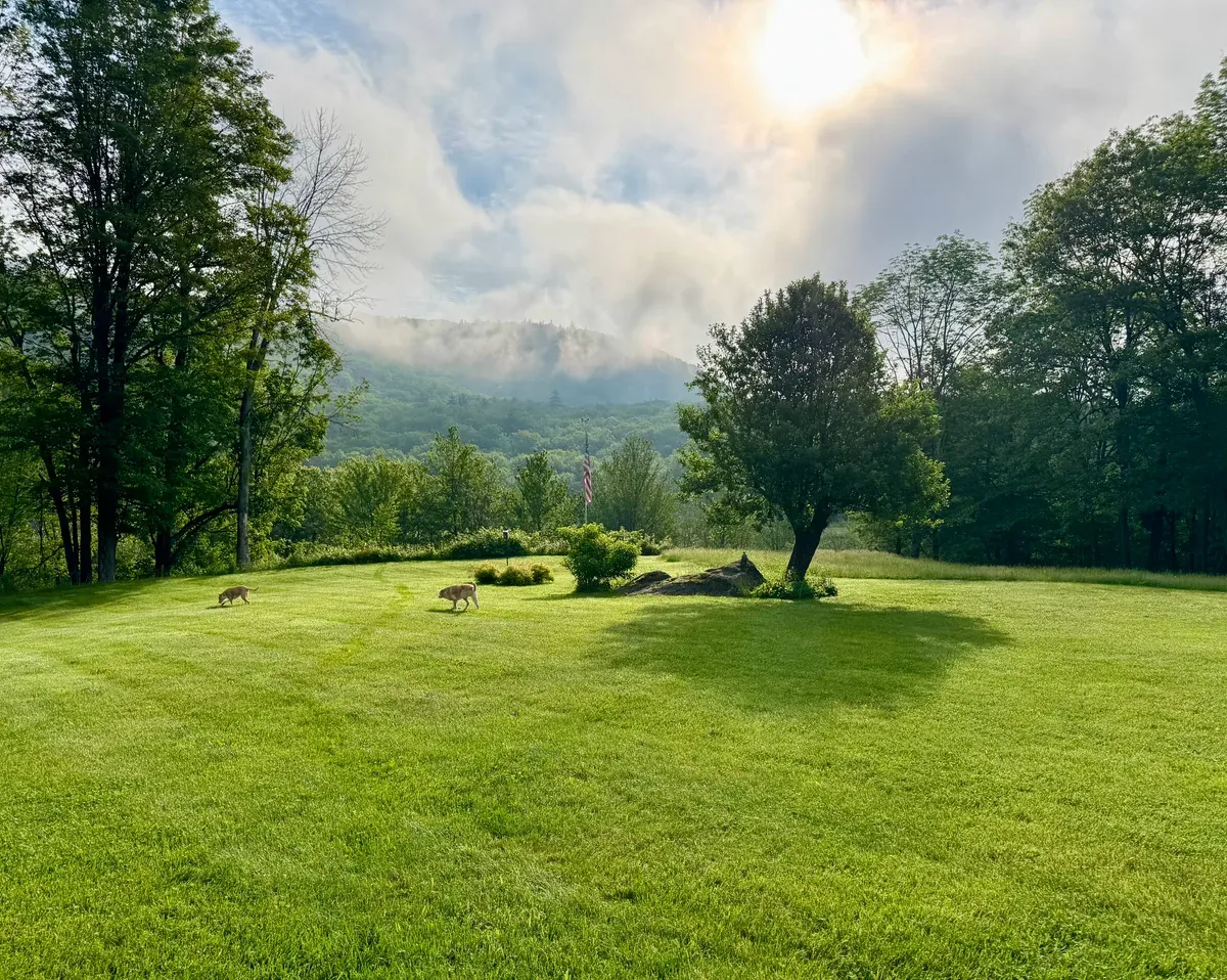 Beautiful New Hampshire home with organic lawn