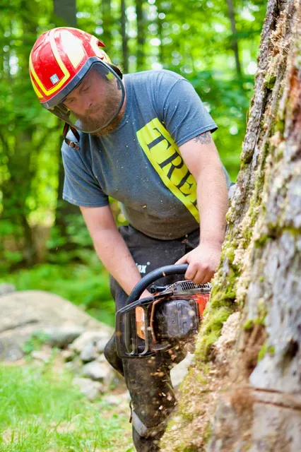 work photo from gardnertreeme.com