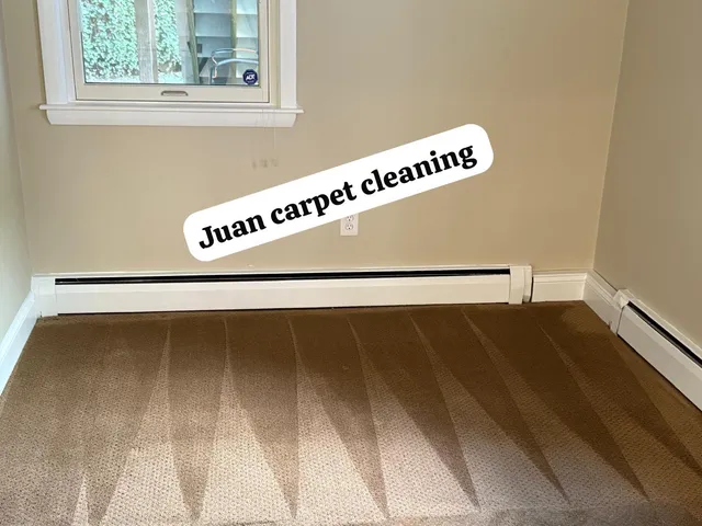 Deep carpet cleaning in progress