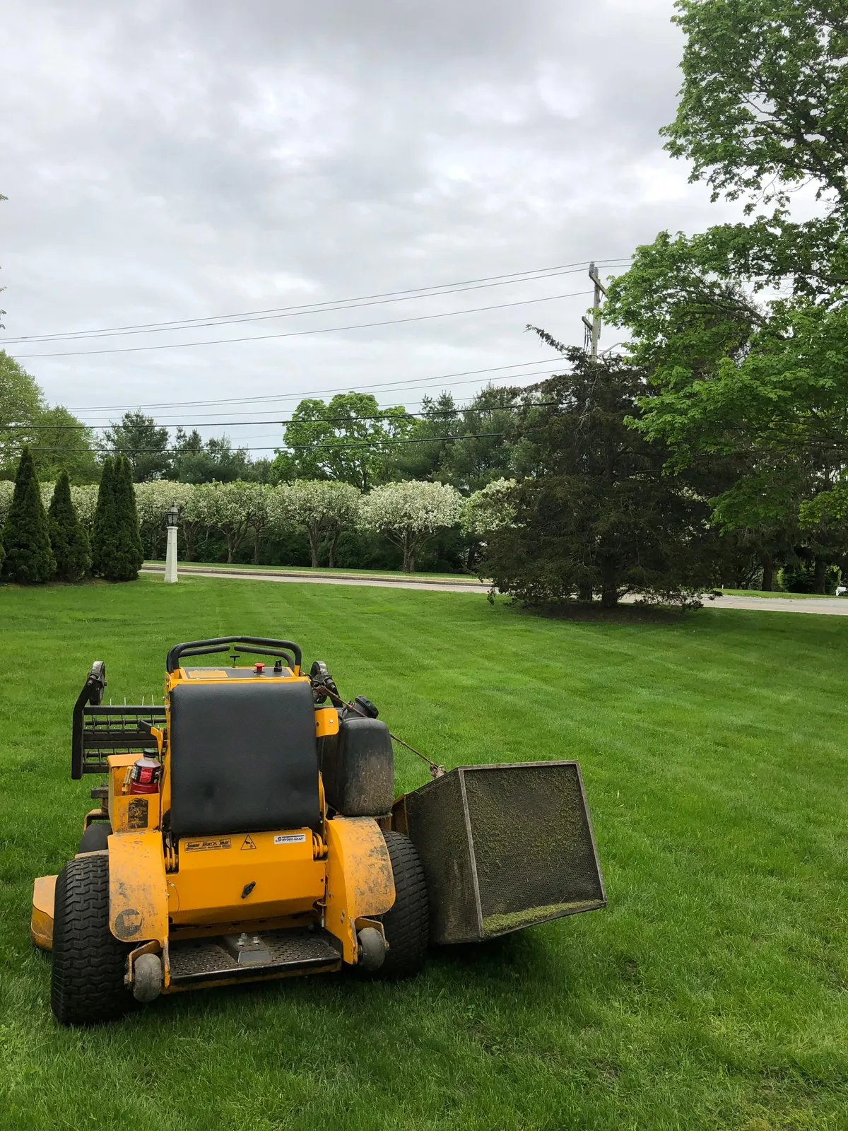 work photo from Google listing