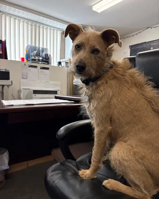 Is Luckie working hard or hardly working? He refused to pick up any phone calls today! Oh well, have a good weekend!