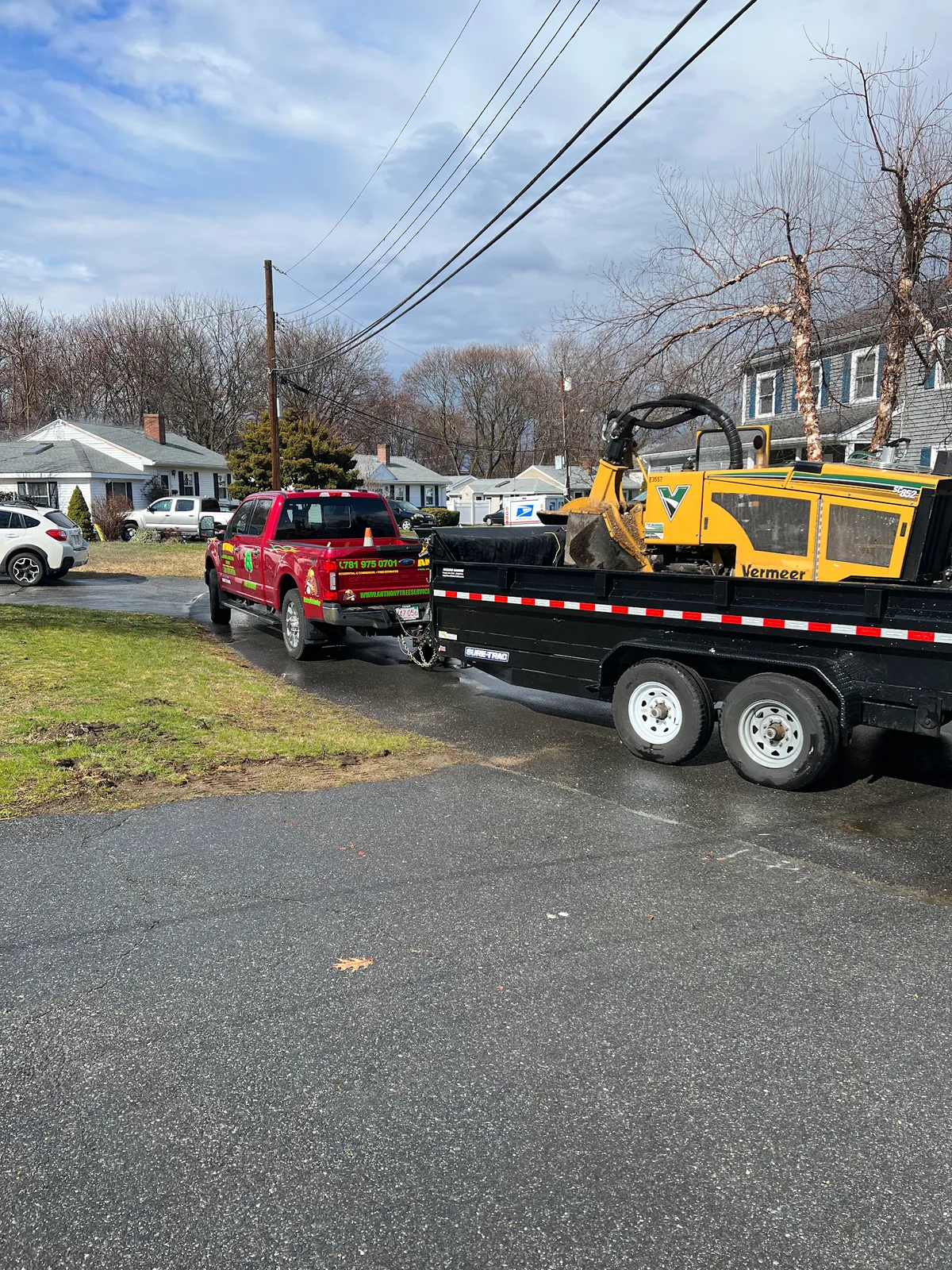 Anthony Tree Services & Landscaping