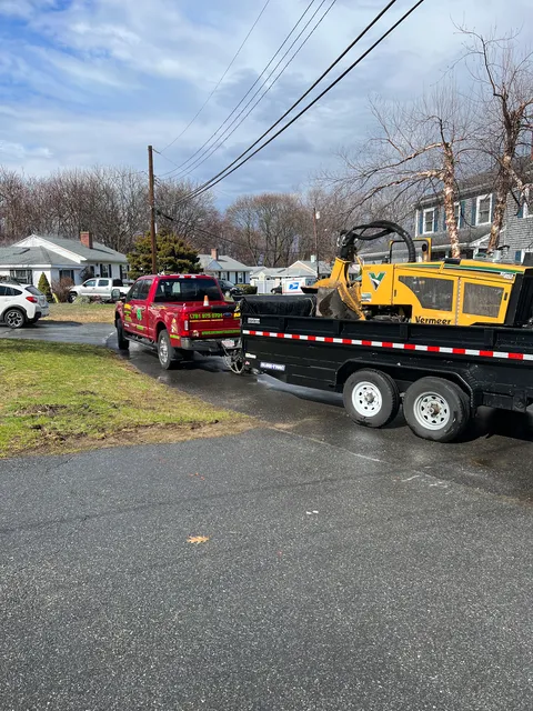Anthony Tree Services & Landscaping