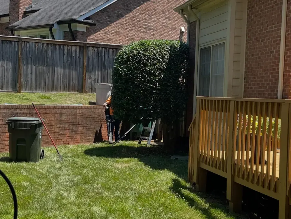 Trustindex feed image, shared by mbggrasshoppers on Instagram on May 22, 2026.