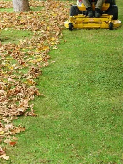 fall-cleanup