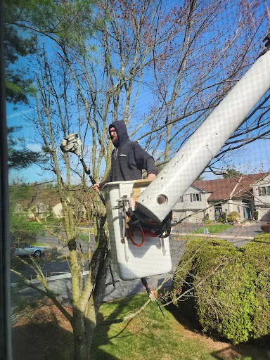 Review photo by Friscokid67