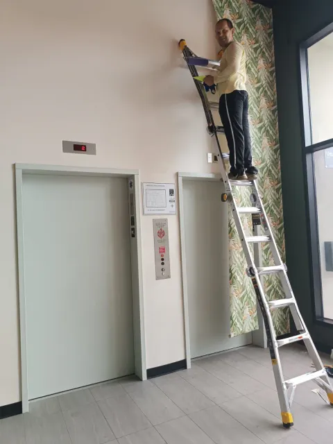 Lead wallpaper installer at Revere Wallpaper Installations in North End, Boston
