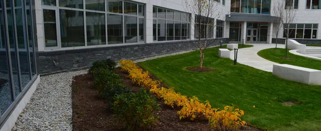Waterbury State Office Complex landscaping