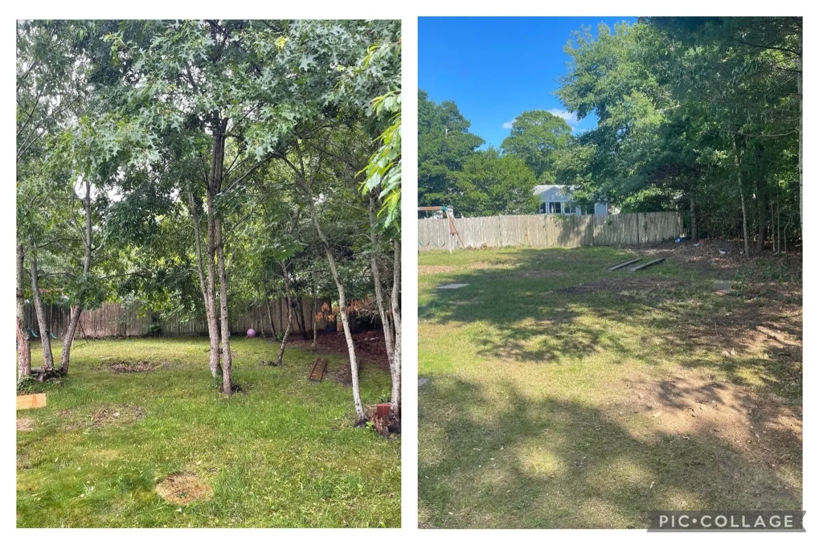Before and after tree removal