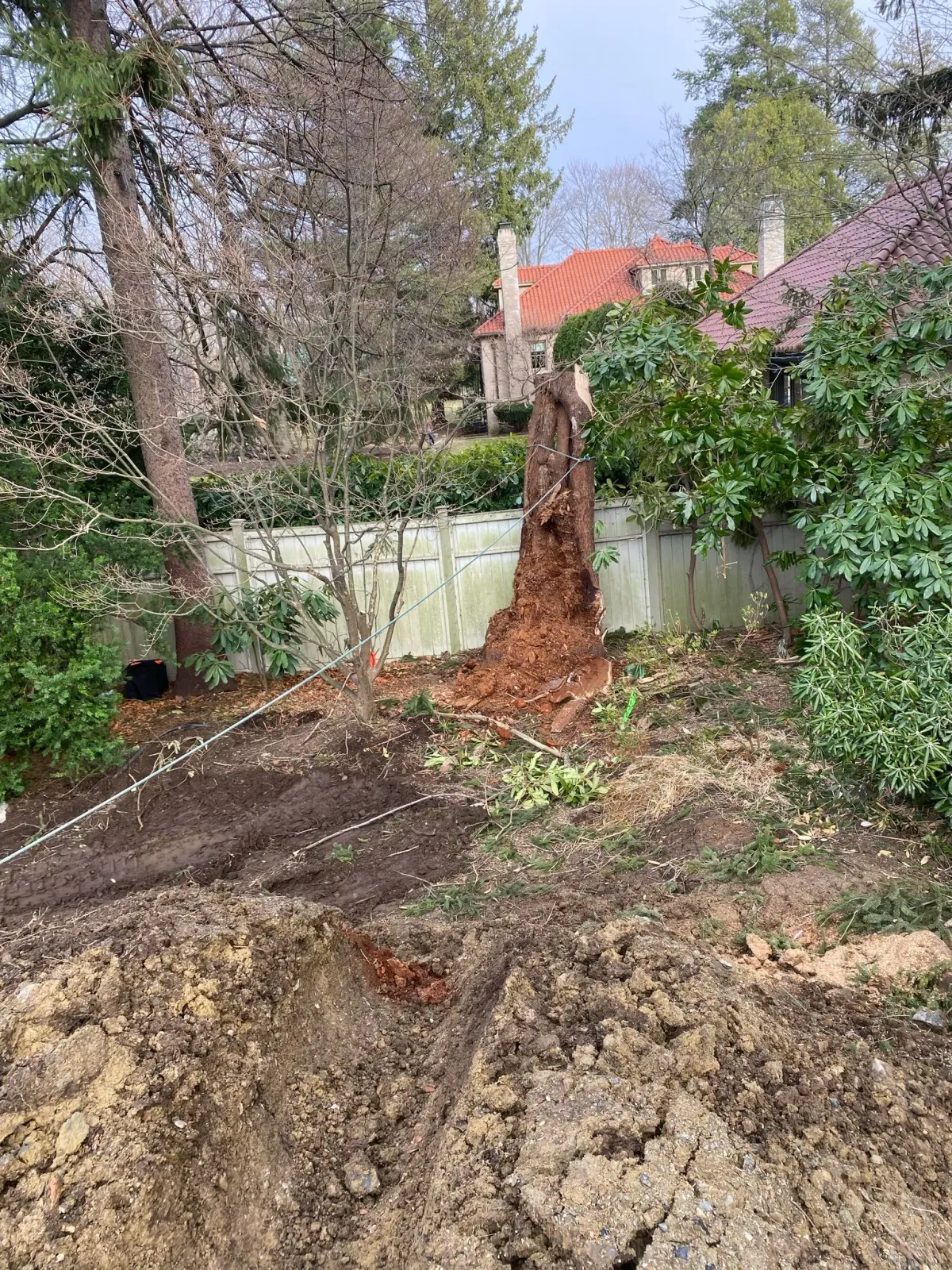 work photo from adantreeservices.com