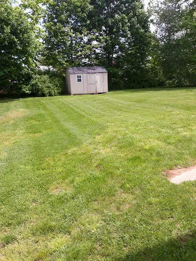 Jamari's Lawncare LLC work photo
