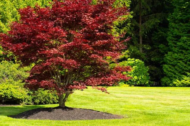 work photo from piscataqualandscaping.com