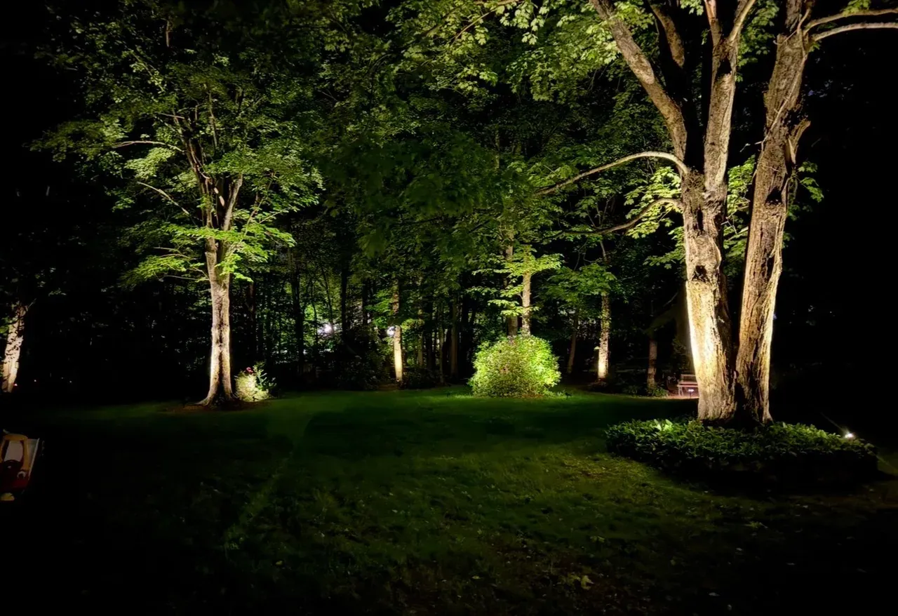 Mature trees and a planted garden illuminated by landscape lights at night.