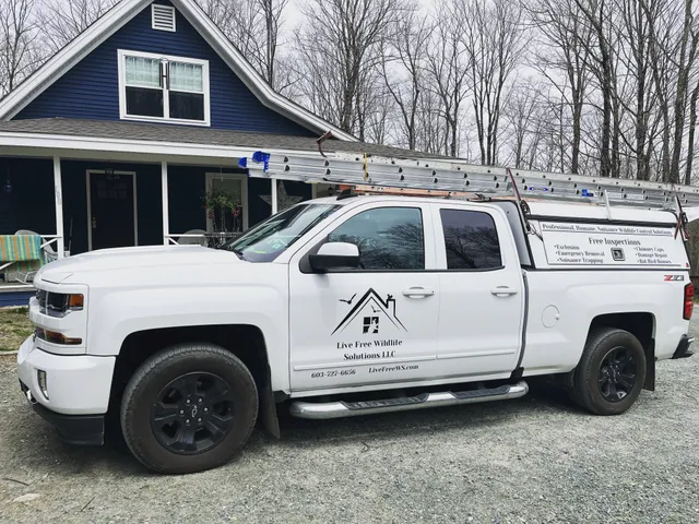 Live Free Wildlife Solutions LLC work photo