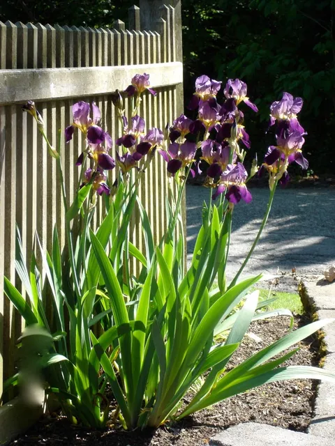 work photo from newleaflandscapedesign.com