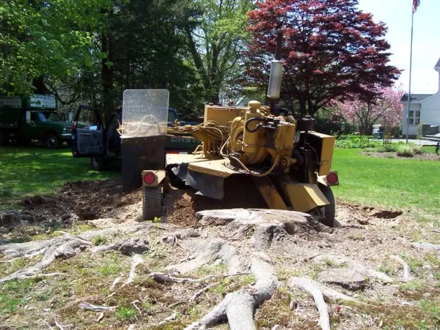 Stumpbuster LLC work photo