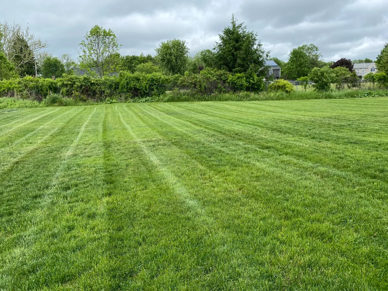 Freshly mowed grassy field with striped patterns, surrounded by trees and shrubs, under a cloudy sky.